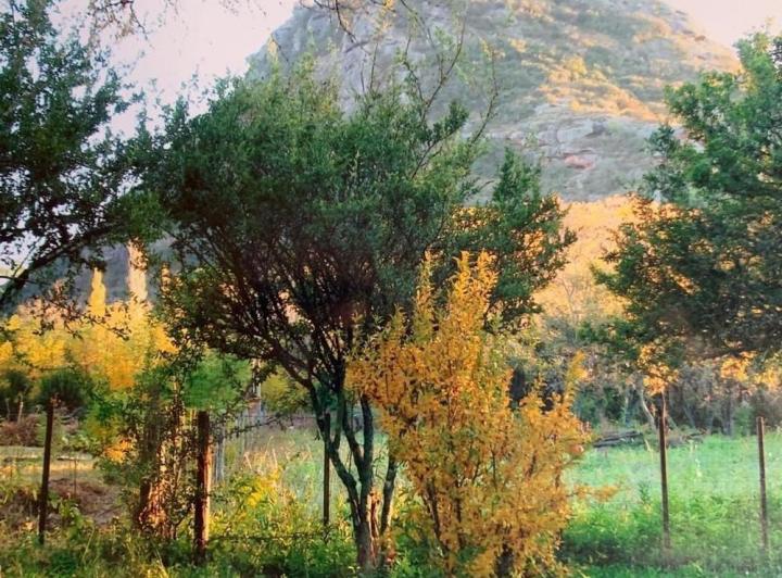 Terreno · 3123m²
