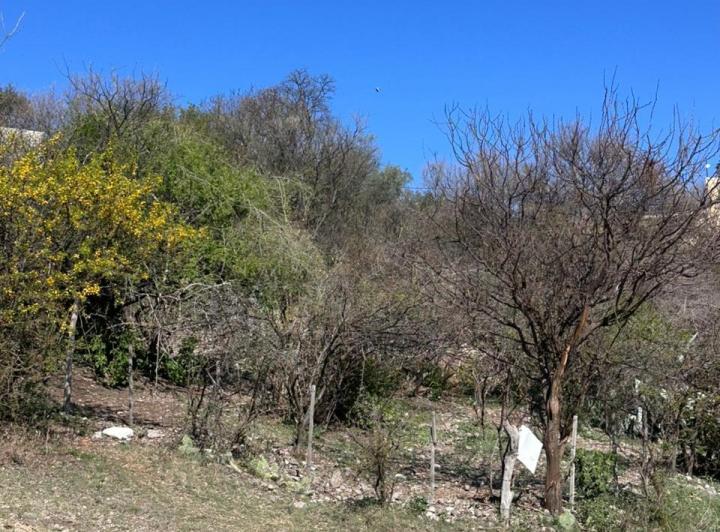 Terreno · 519m²