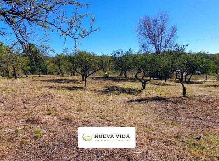 Terreno · 1300m²