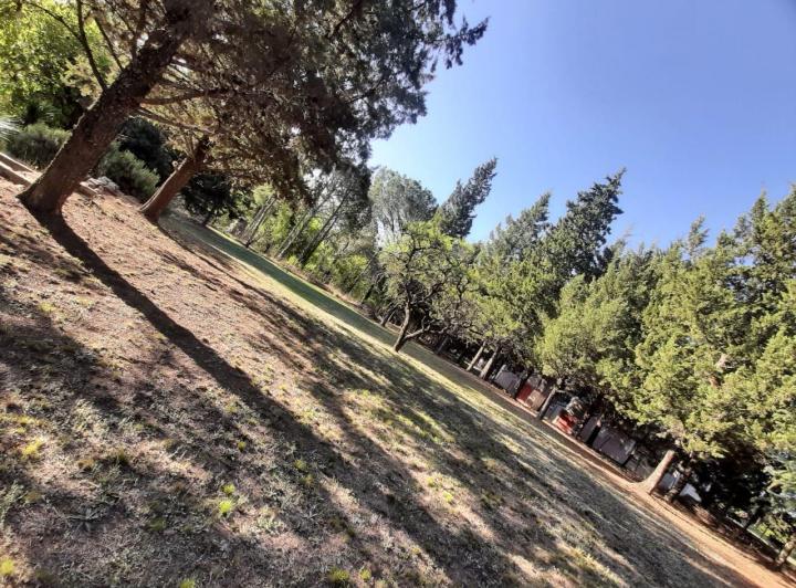 Terreno · 2456m²