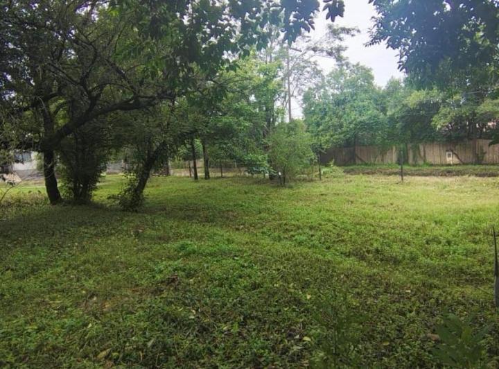 Terreno · 520ha