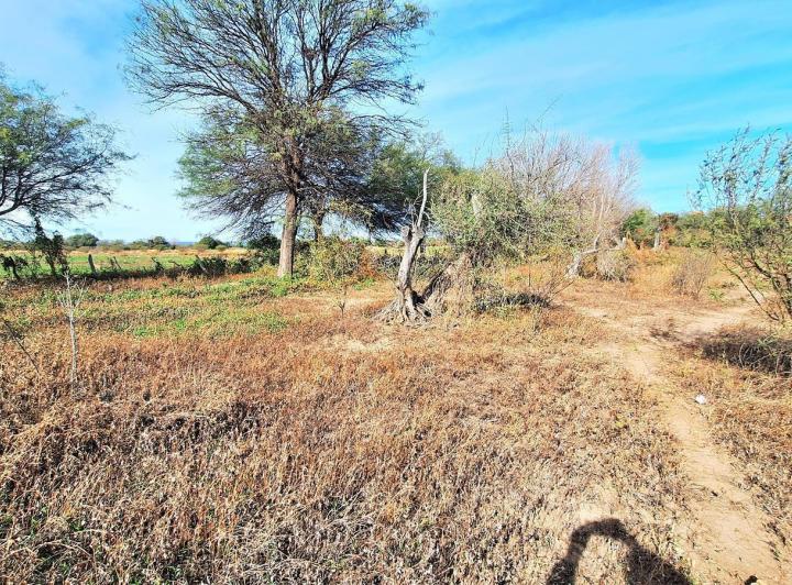 Terreno · 32000m²