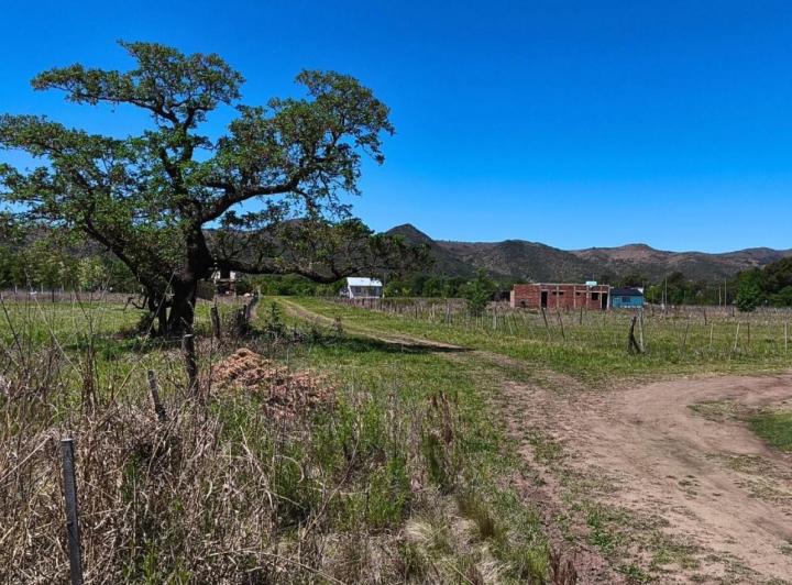 Terreno · 700m²