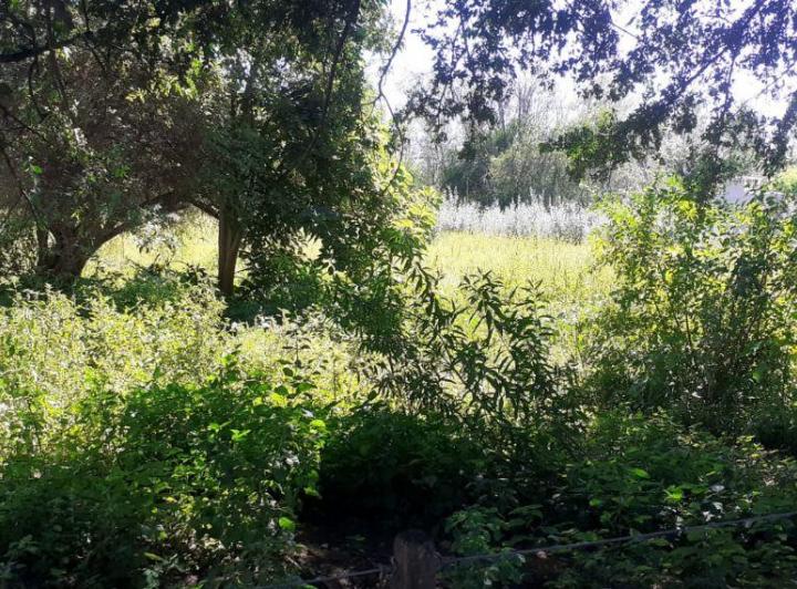Terreno · 5000m²