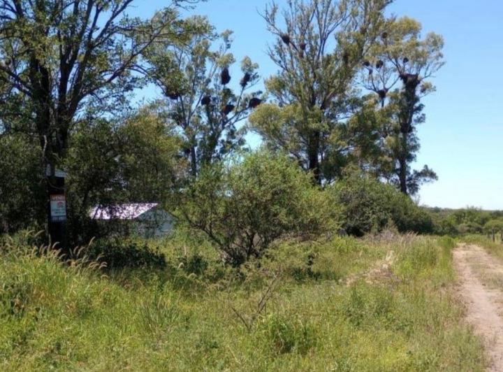 Terreno · 476m²