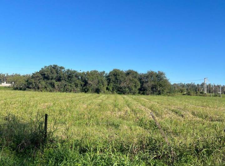Terreno · 2000m²