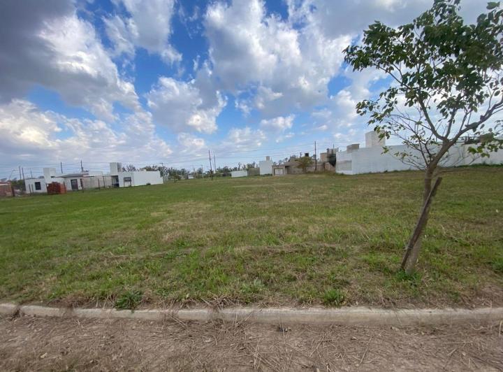 Terreno · 318m²