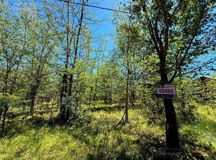 Terreno · 490m²