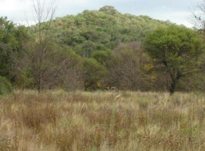 Terreno · 10000m²