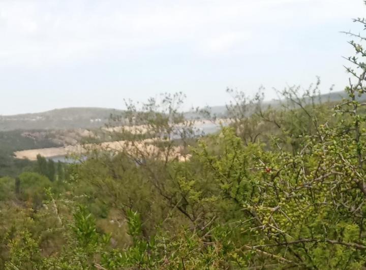 Terreno · 2927m²