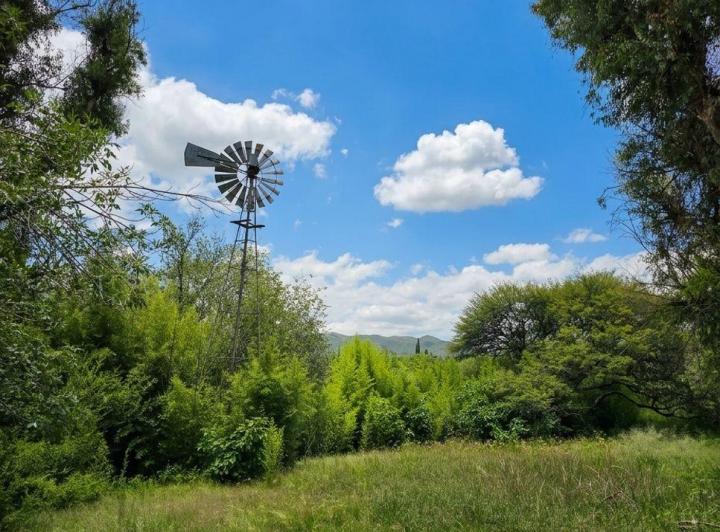 Terreno · 50000m²