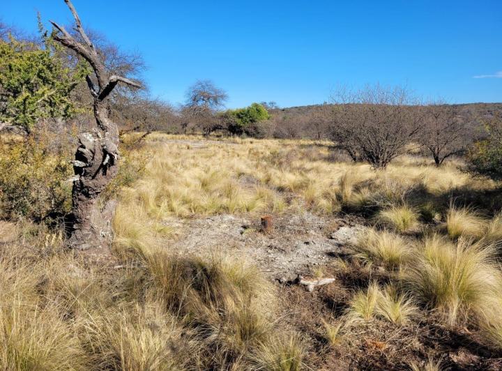 Terreno · 15000m²