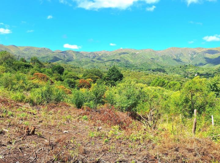 Terreno · 1030m²