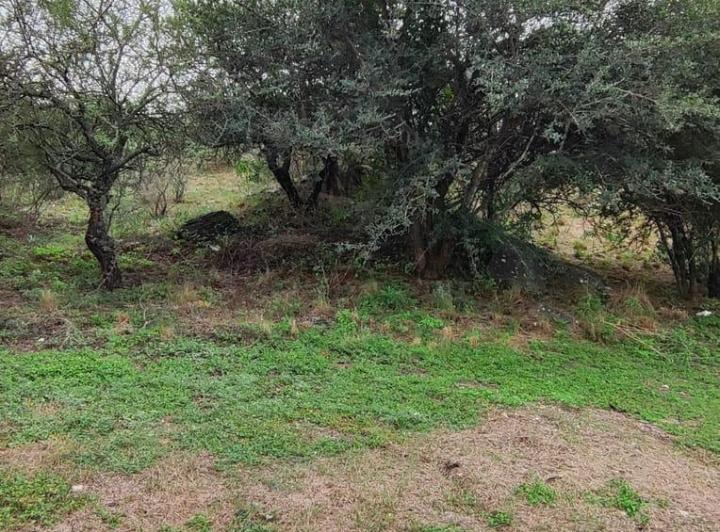 Terreno · 713m² · 1 Ambiente