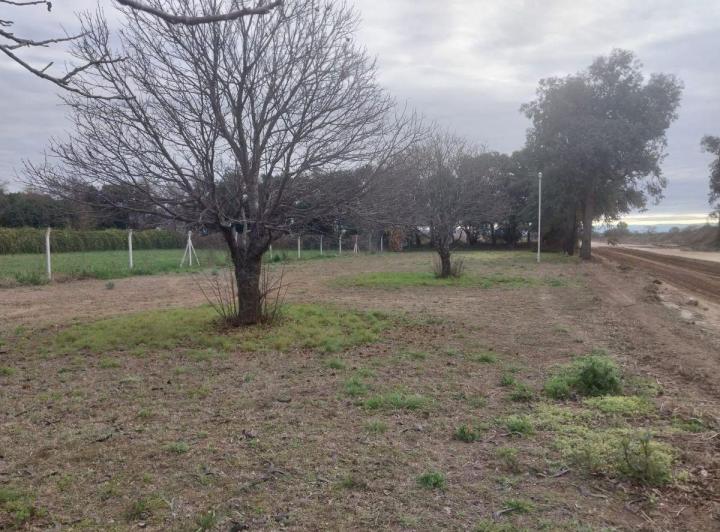 Terreno · 130m²