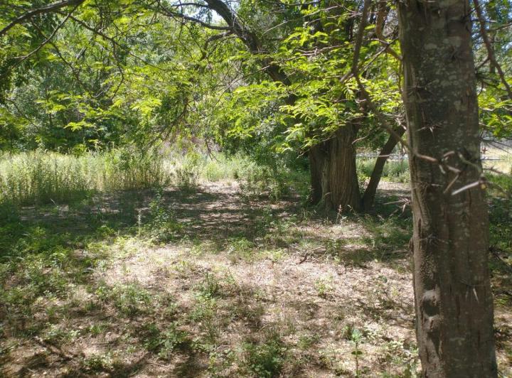 Terreno · 5m²