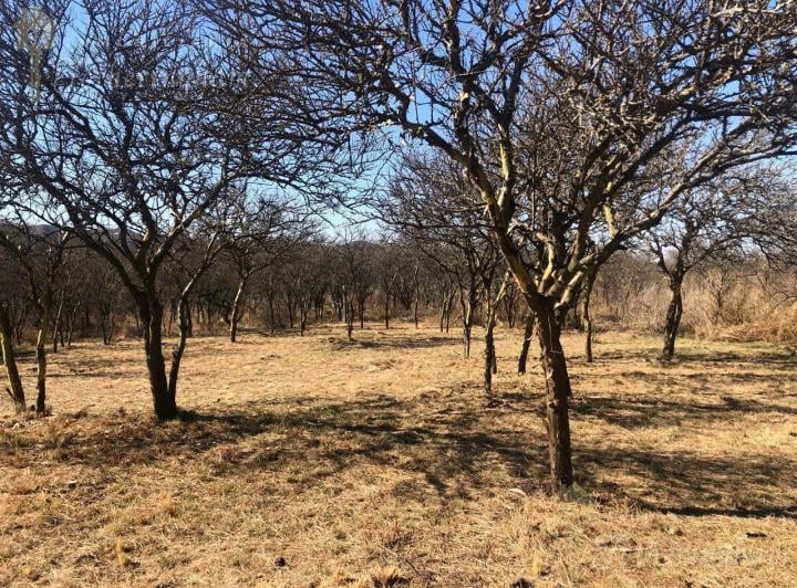 Terreno · 932m²