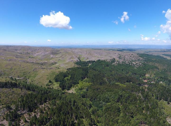 Terreno · 180000m²