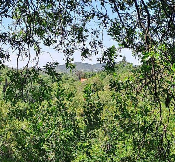Terreno · 1031m²