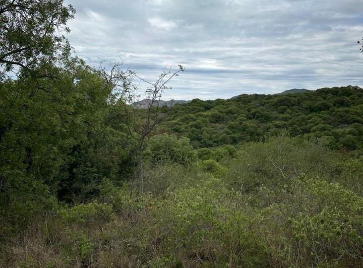 Terreno · 1042m²