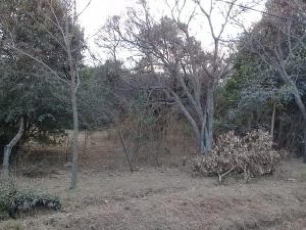Terreno · 600m²