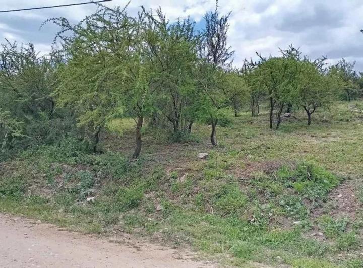 Terreno · 450m²