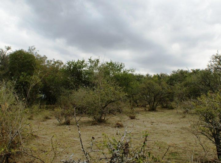 Terreno · 1170m²