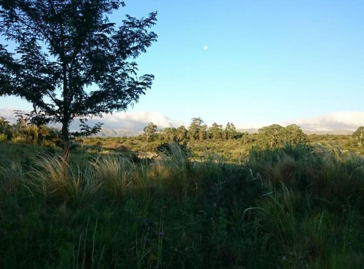 Terreno · 396m²