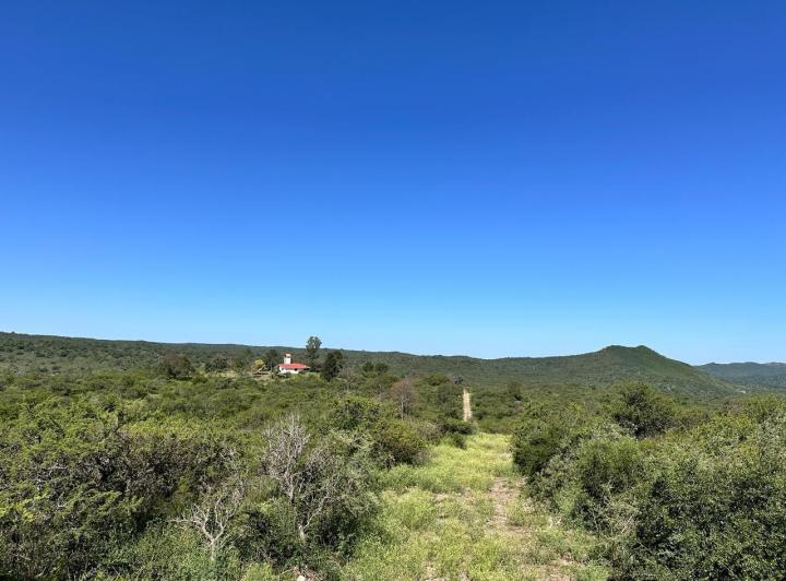 Terreno · 9285m²