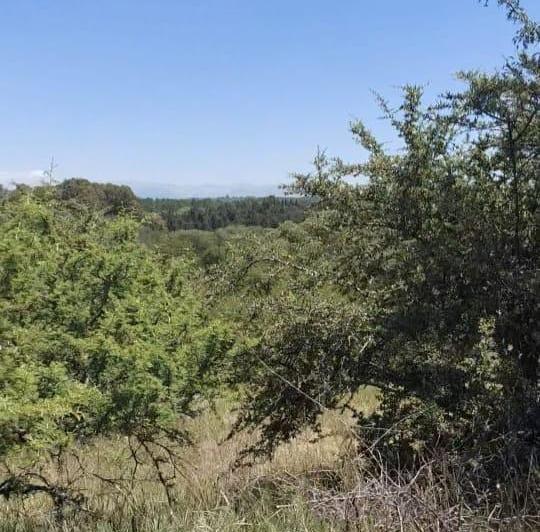 Terreno · 540m²