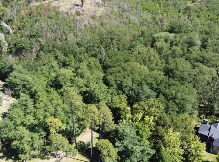 Terreno · 4500m²