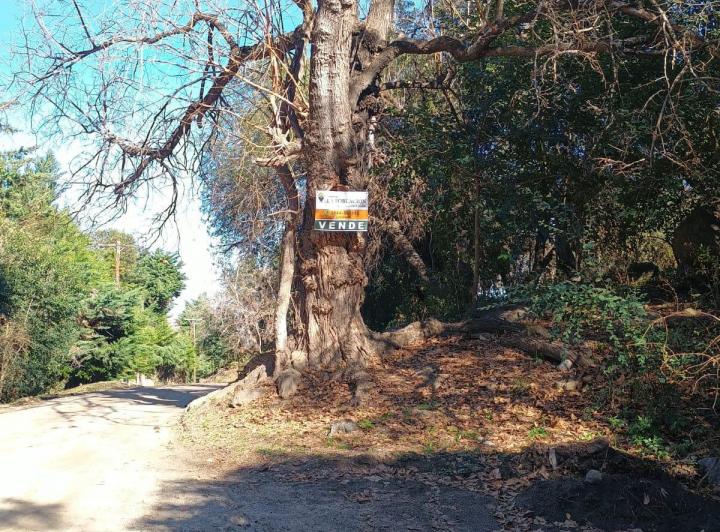 Terreno · 24000m²