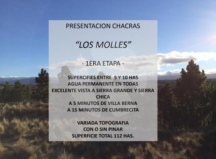 Terreno · 10ha