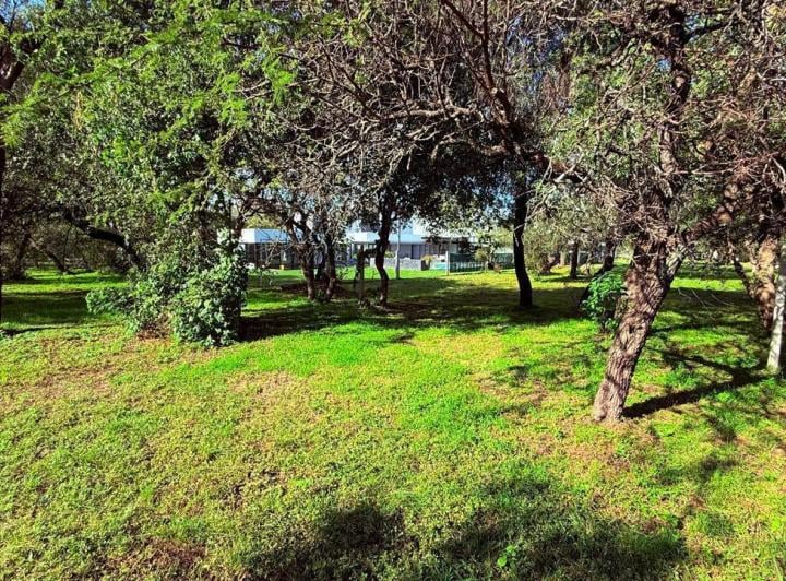 Terreno · 1234m²