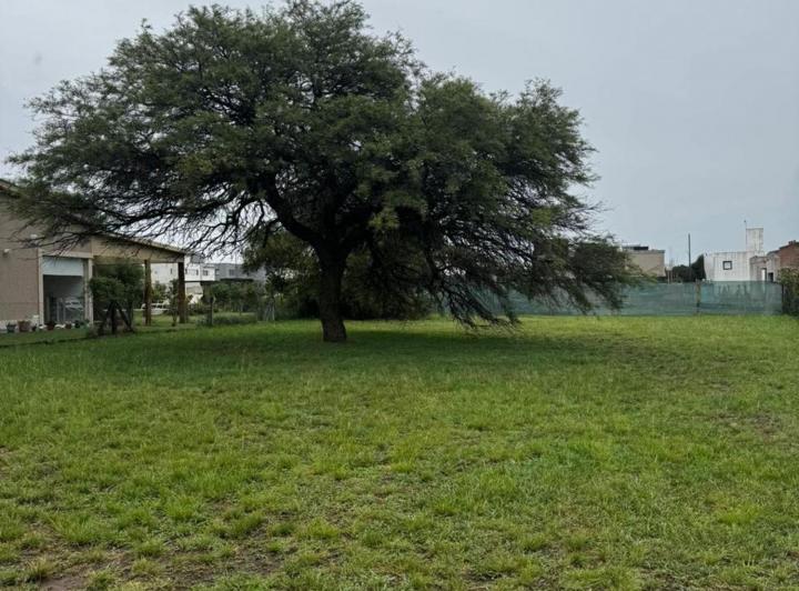 Terreno · 80501m²