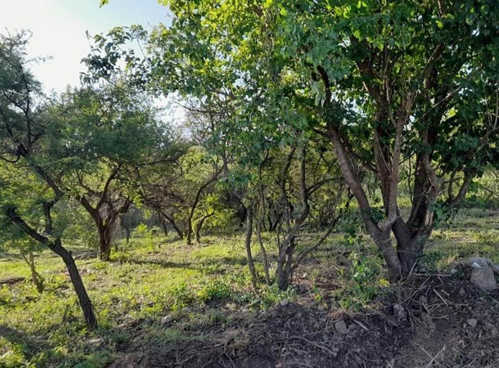Terreno · 600m²
