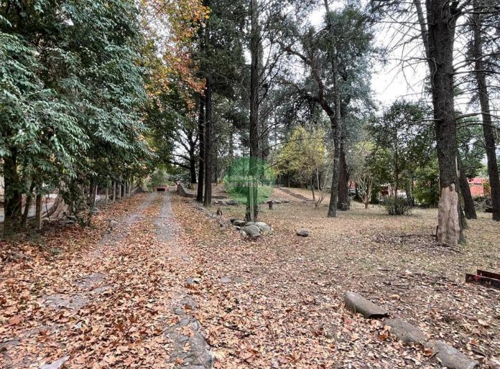 Terreno · 5000m²
