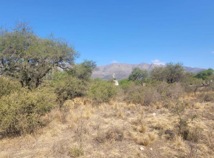 Terreno · 937m²