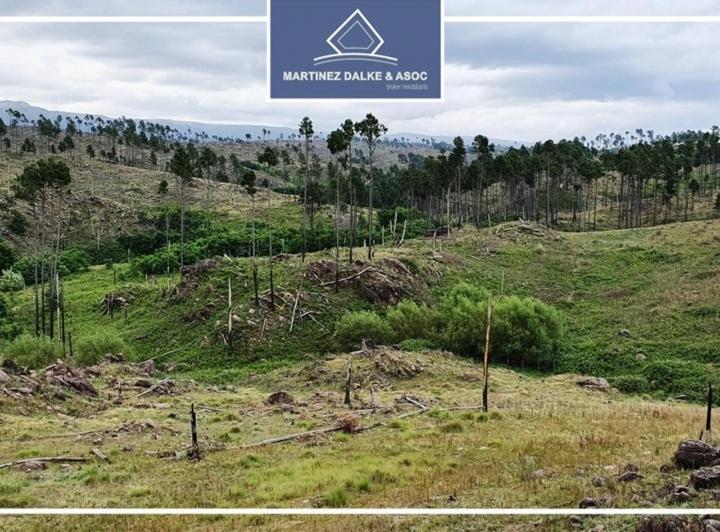 Terreno · 100926m²