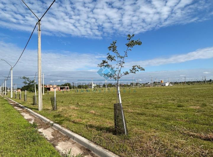 Terreno · 300m²