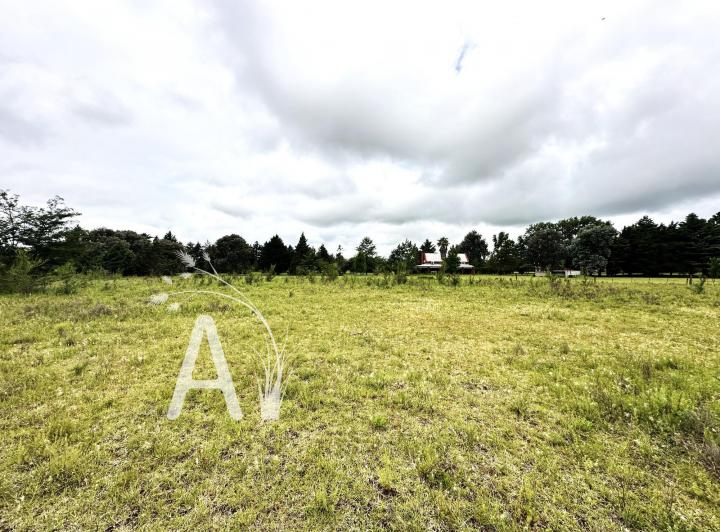 Terreno · 1133m²