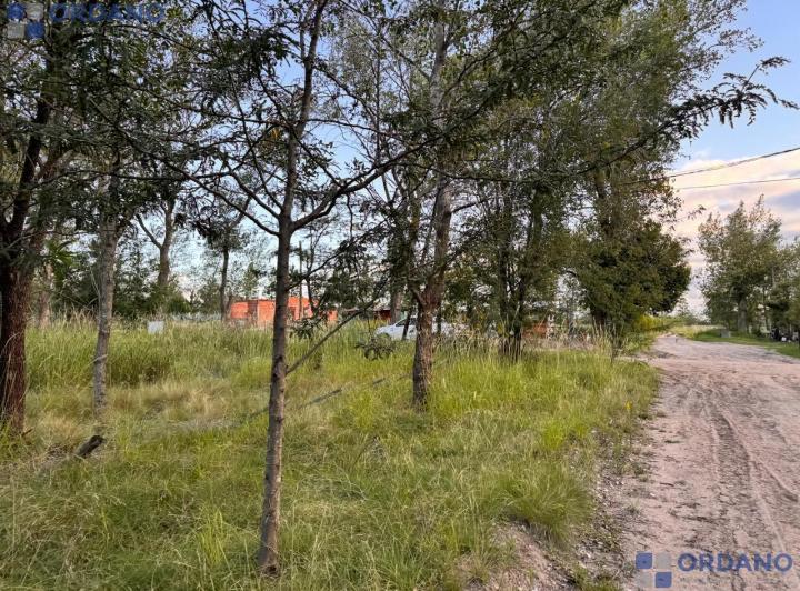 Terreno · 560m²