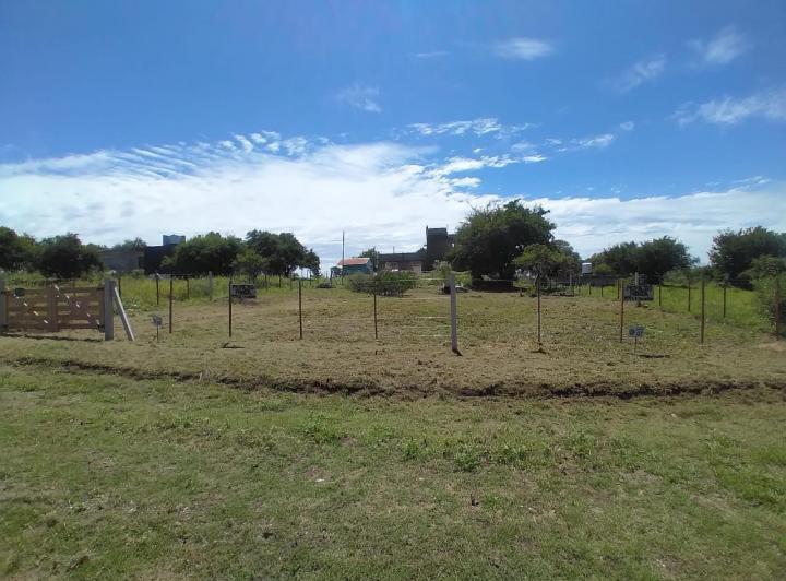 Terreno · 300m²