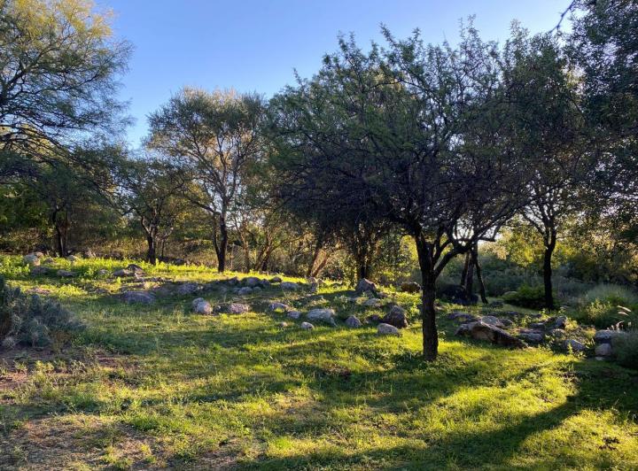 Terreno · 29413m²