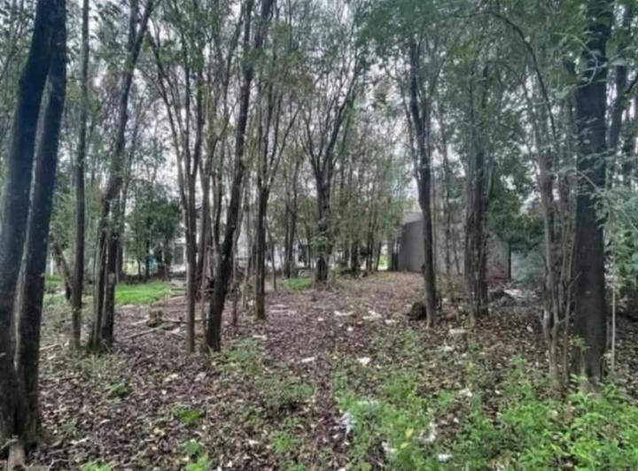 Terreno · 300m²