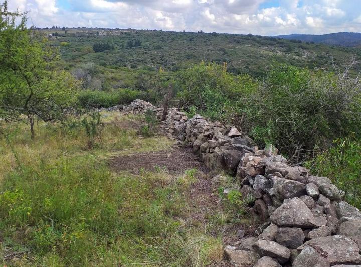 Terreno · 33500m²