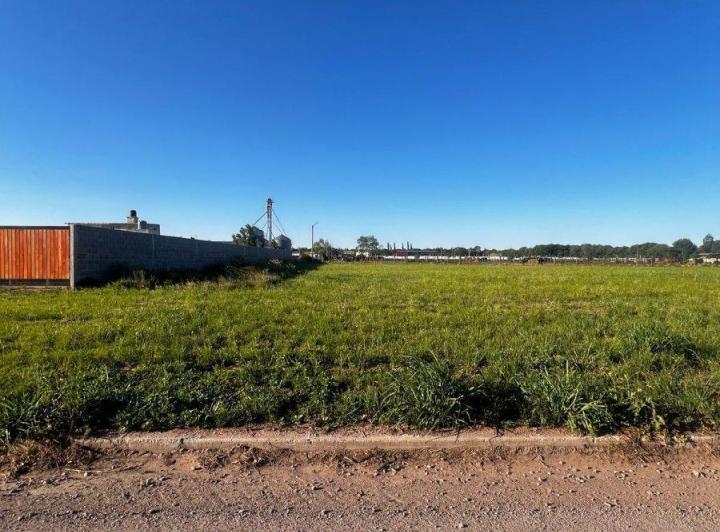 Terreno · 736m²