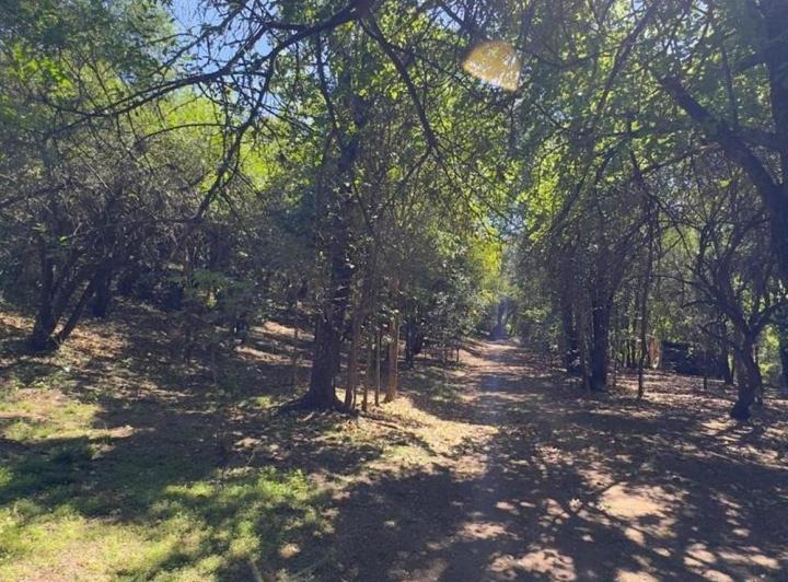 Terreno · 1000m²