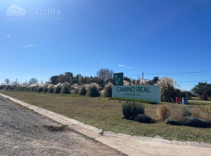 Terreno · 703m²
