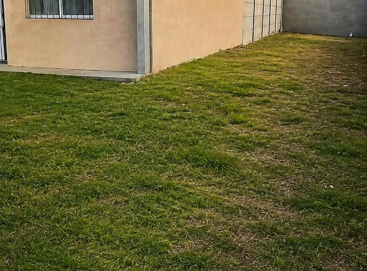 Terreno · 175m²